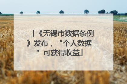 《无锡市数据条例》发布，“个人数据”可获得收益