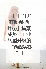 「“县”在图强·西峰①」集聚成势！工业转型升级的“西峰实践”