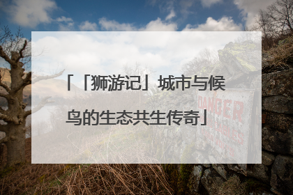 「狮游记」城市与候鸟的生态共生传奇
