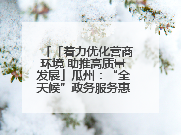 「着力优化营商环境 助推高质量发展」瓜州：“全天候”政务服务惠企便民