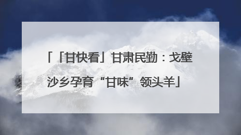 「甘快看」甘肃民勤：戈壁沙乡孕育“甘味”领头羊