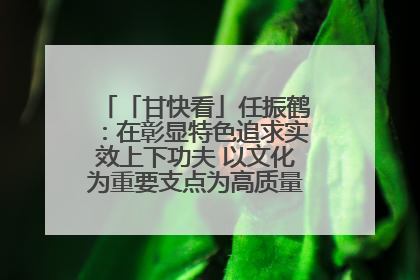 「甘快看」任振鹤：在彰显特色追求实效上下功夫 以文化为重要支点为高质量发展增添动能