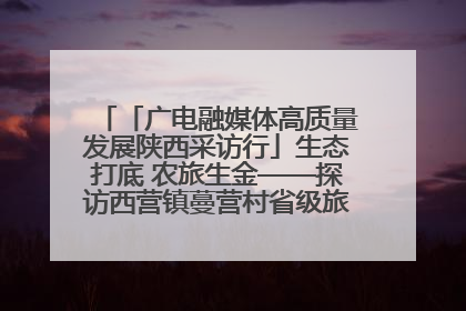 「广电融媒体高质量发展陕西采访行」生态打底 农旅生金——探访西营镇蔓营村省级旅游示范村的振兴密码