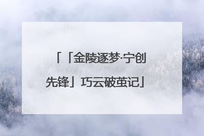 「金陵逐梦·宁创先锋」巧云破茧记