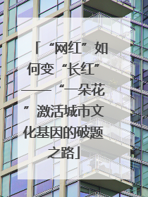 “网红”如何变“长红”——“一朵花”激活城市文化基因的破题之路