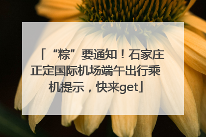 “粽”要通知！石家庄正定国际机场端午出行乘机提示，快来get