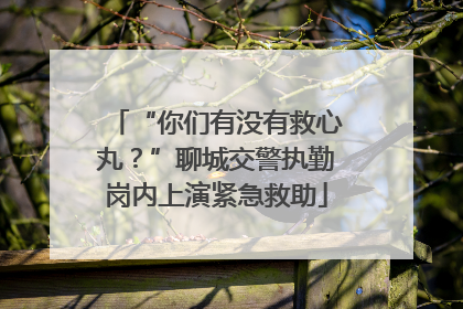 “你们有没有救心丸？”聊城交警执勤岗内上演紧急救助