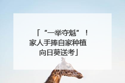 “一举夺魁”！家人手捧自家种植向日葵送考