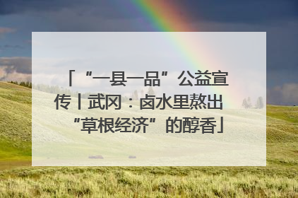 “一县一品”公益宣传丨武冈：卤水里熬出“草根经济”的醇香
