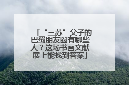“三苏”父子的巴蜀朋友圈有哪些人？这场书画文献展上能找到答案