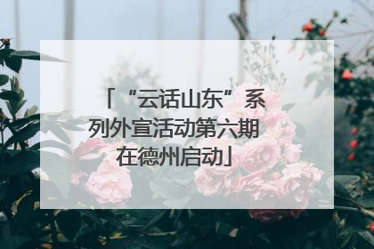 “云话山东”系列外宣活动第六期在德州启动