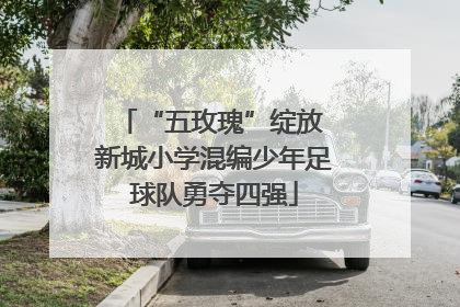 “五玫瑰”绽放 新城小学混编少年足球队勇夺四强