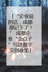 “企业说的话，成都都记下了！” 成都企业“金点子”写进数字文创政策