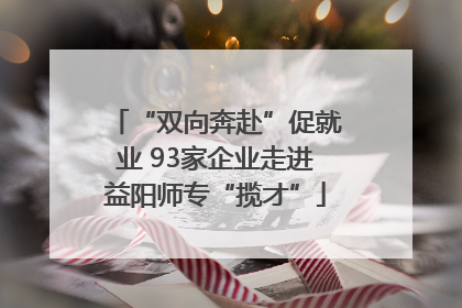 “双向奔赴”促就业 93家企业走进益阳师专“揽才”