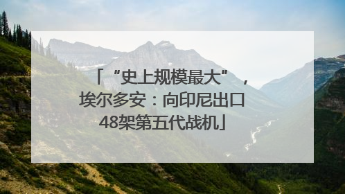 “史上规模最大”，埃尔多安：向印尼出口48架第五代战机