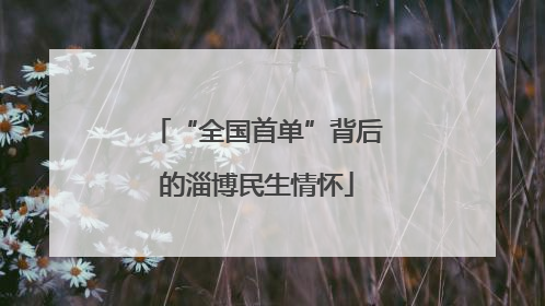 “全国首单”背后的淄博民生情怀