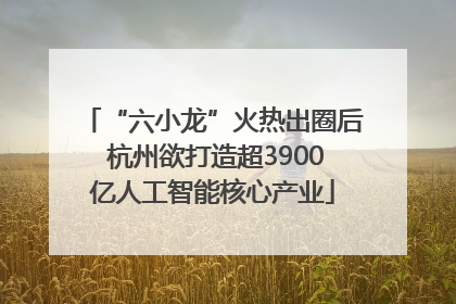 “六小龙”火热出圈后 杭州欲打造超3900亿人工智能核心产业