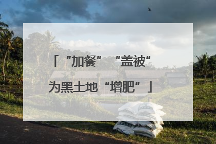 “加餐”“盖被” 为黑土地“增肥”