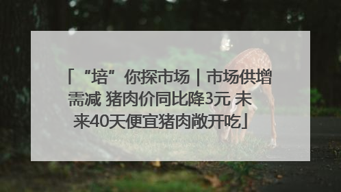“培”你探市场｜市场供增需减 猪肉价同比降3元 未来40天便宜猪肉敞开吃