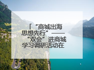 “商城出海 思想先行”——“双会”进商城学习调研活动在临沂顺利开展