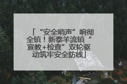 “安全哨声”响彻全镇！新泰羊流镇“宣教+检查”双轮驱动筑牢安全防线