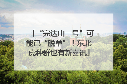 “完达山一号”可能已“脱单”！东北虎种群也有新喜讯