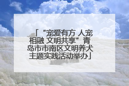 “宠爱有方 人宠相融 文明共享”青岛市市南区文明养犬主题实践活动举办