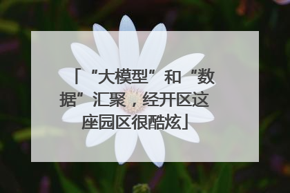 “大模型”和“数据”汇聚，经开区这座园区很酷炫