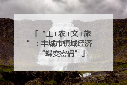 “工+农+文+旅”：丰城市镇域经济“蝶变密码”