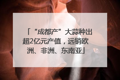 “成都产”大蒜种出超2亿元产值，远销欧洲、非洲、东南亚