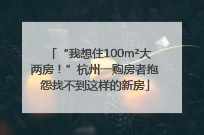 “我想住100m²大两房！”杭州一购房者抱怨找不到这样的新房