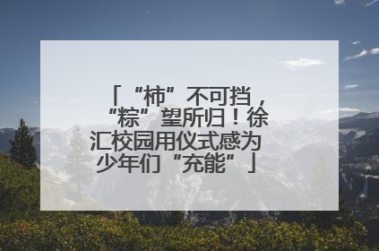 “柿”不可挡，“粽”望所归！徐汇校园用仪式感为少年们“充能”