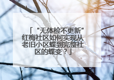 “无体检不更新”红梅社区如何实现从老旧小区蝶到完整社区的蝶变？
