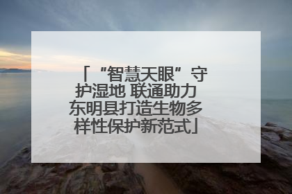 “智慧天眼”守护湿地 联通助力东明县打造生物多样性保护新范式