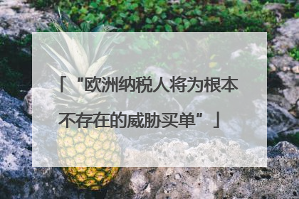 “欧洲纳税人将为根本不存在的威胁买单”