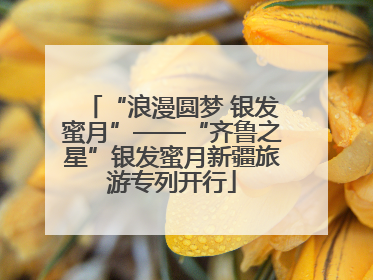 “浪漫圆梦 银发蜜月”——“齐鲁之星”银发蜜月新疆旅游专列开行