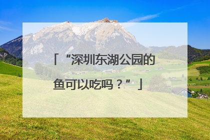 “深圳东湖公园的鱼可以吃吗？”