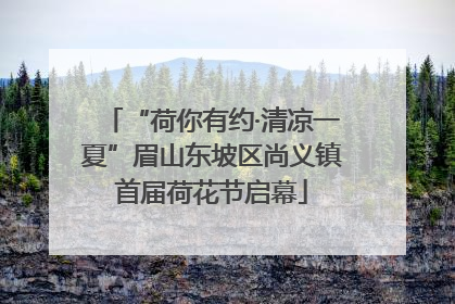 “荷你有约·清凉一夏”眉山东坡区尚义镇首届荷花节启幕