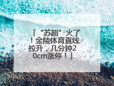 “苏超”火了！金陵体育直线拉升，几分钟20cm涨停！