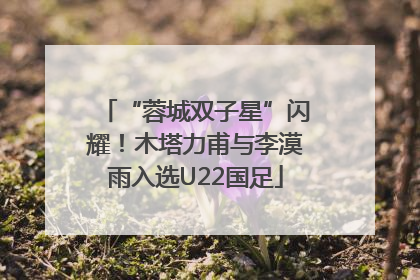 “蓉城双子星”闪耀！木塔力甫与李漠雨入选U22国足