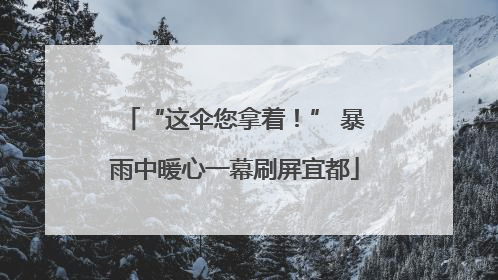 “这伞您拿着！” 暴雨中暖心一幕刷屏宜都