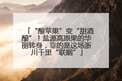 “酸苹果”变“甜酒酿”！盐源高原果的华丽转身，靠的是这场浙川千里“联姻”