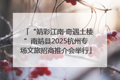 “靖彩江南·奇遇土楼”南靖县2025杭州专场文旅招商推介会举行