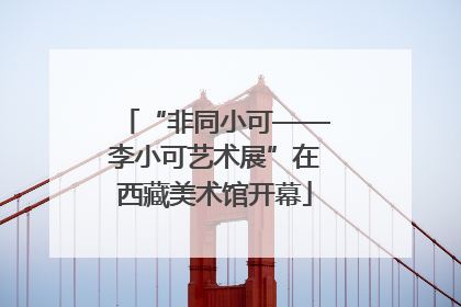 “非同小可——李小可艺术展”在西藏美术馆开幕