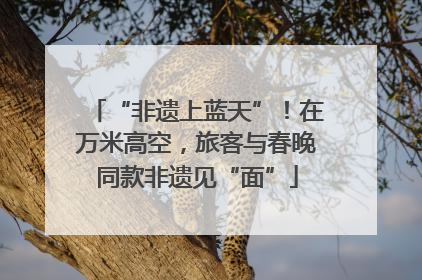 “非遗上蓝天”！在万米高空，旅客与春晚同款非遗见“面”