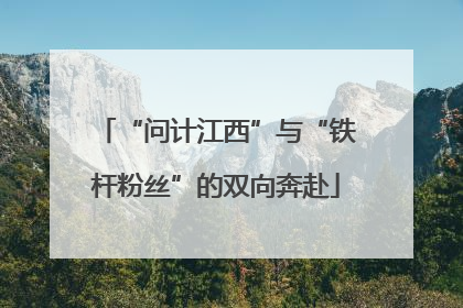 “问计江西”与“铁杆粉丝”的双向奔赴