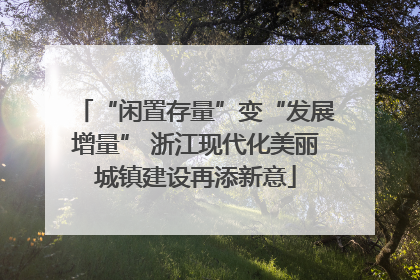 “闲置存量”变“发展增量” 浙江现代化美丽城镇建设再添新意