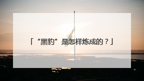 “黑豹”是怎样炼成的？