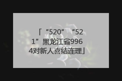 “520”“521”黑龙江省9964对新人喜结连理