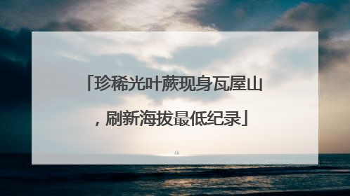 珍稀光叶蕨现身瓦屋山，刷新海拔最低纪录